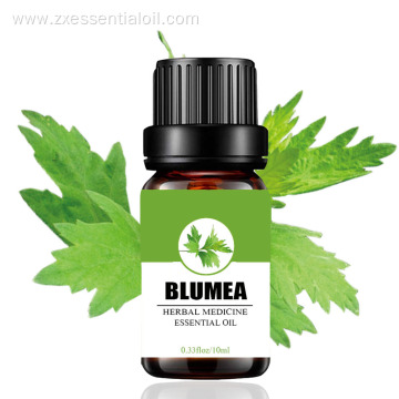 Factory supply 100% pure blumea essential oil bulk